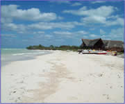 cayo jutias, playa