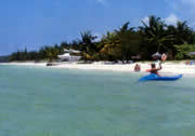 cayo levisa