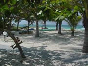 cayo levisa, uvas caletas