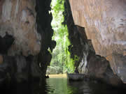 Cueva del Indio, Vi&ntilde;ales
