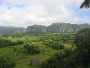 valle de vi&ntilde;ales