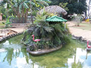 finca campesina