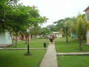 campismo las clavellinas
