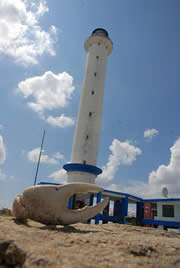 faro carapachibey