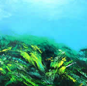 ambiente marino, oleo