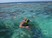fondos marinos en guanahacabibes