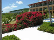 hotel playa blanca, jardines