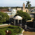 remedios