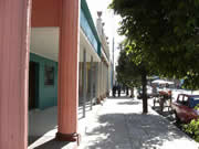 avenida libertad, arbolado