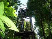 mirador