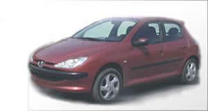 pegeout 206