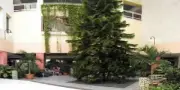Hotel Occidental Arenas Blancas